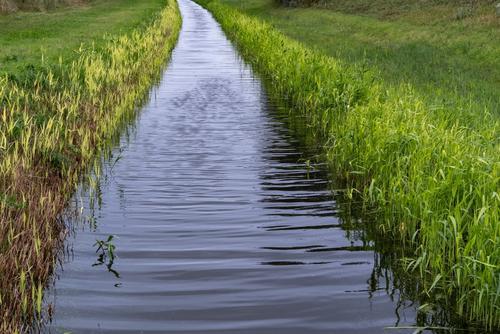 היעדרות הילדים בתעלה: האירוע הגיע לסיומו