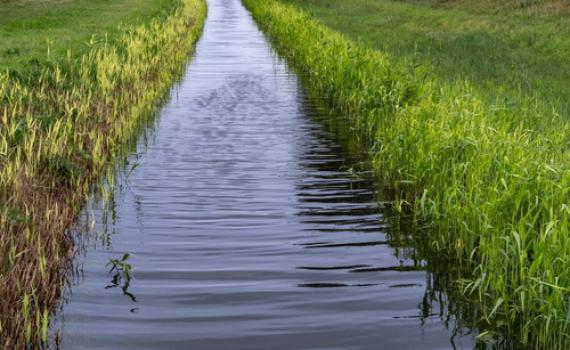 היעדרות הילדים בתעלה: האירוע הגיע לסיומו