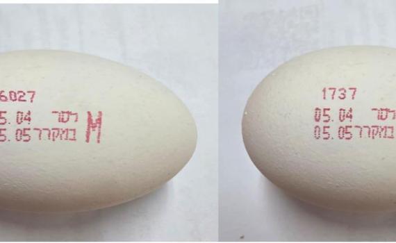 משרד הבריאות מזהיר: התגלה סלמונלה בביצים מלולים מסוימים