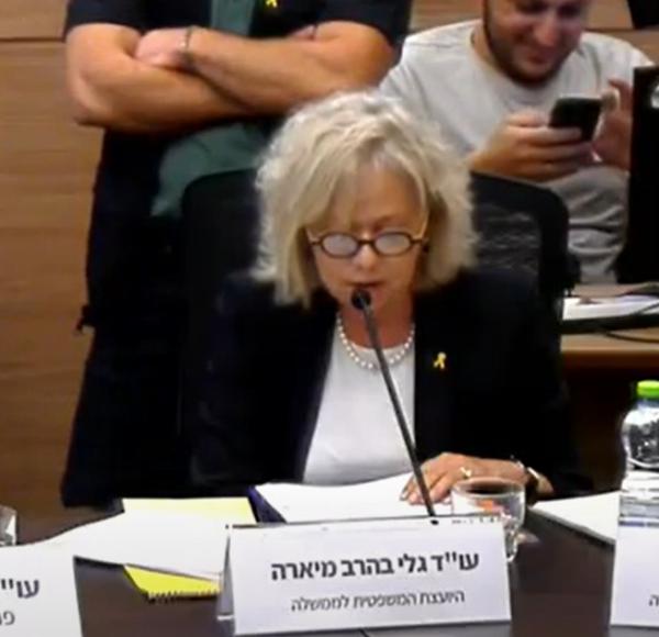 היועמ"שית מסבירה: כך אני מחליטה מתי לפתוח בחקירה