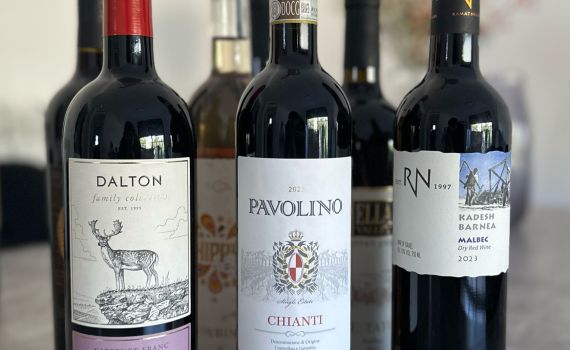 עושים סדר: אלו היינות המומלצים לחג הפסח