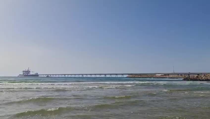 סוף עצוב: הממצאים אישרו כי הצוללן נטרף למוות בידי כריש