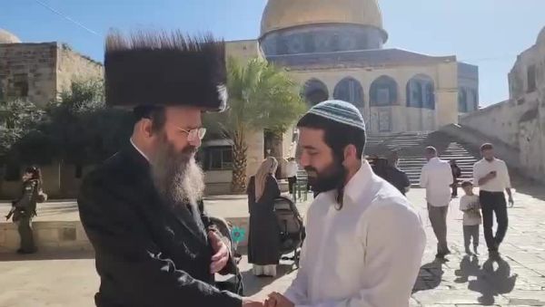 חמאס נגד עלייתו של ח"כ סוכות להר הבית: "ניסיון לכיבוש ההר"