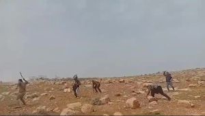 ארבעה אנרכיסטים שתקפו רועי צאן בבקעה - הורחקו מהאזור