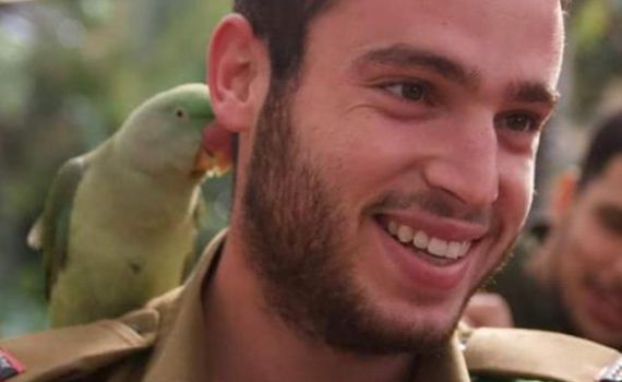 טרגדיה: סבתו של הלוחם צפתה בתחקיר על נפילתו ונפטרה