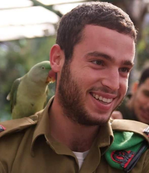 טרגדיה: סבתו של הלוחם צפתה בתחקיר על נפילתו ונפטרה