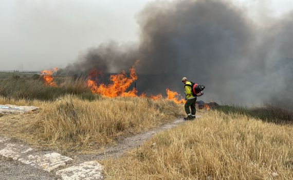מוקד נוסף: שריפה בשדה קוצים סמוך לאשדוד