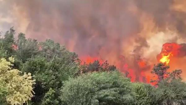 הנחיית פינוי לראשל"צ? בכבאות מבהירים: "הודעת פייק פלילית"