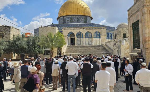 מטורף: שיא חדש במספר היהודים שעלו להר הבית מתחילת השנה