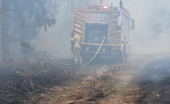 ישראל בוערת: מוקדי שריפה גם בבית שאן ועפולה