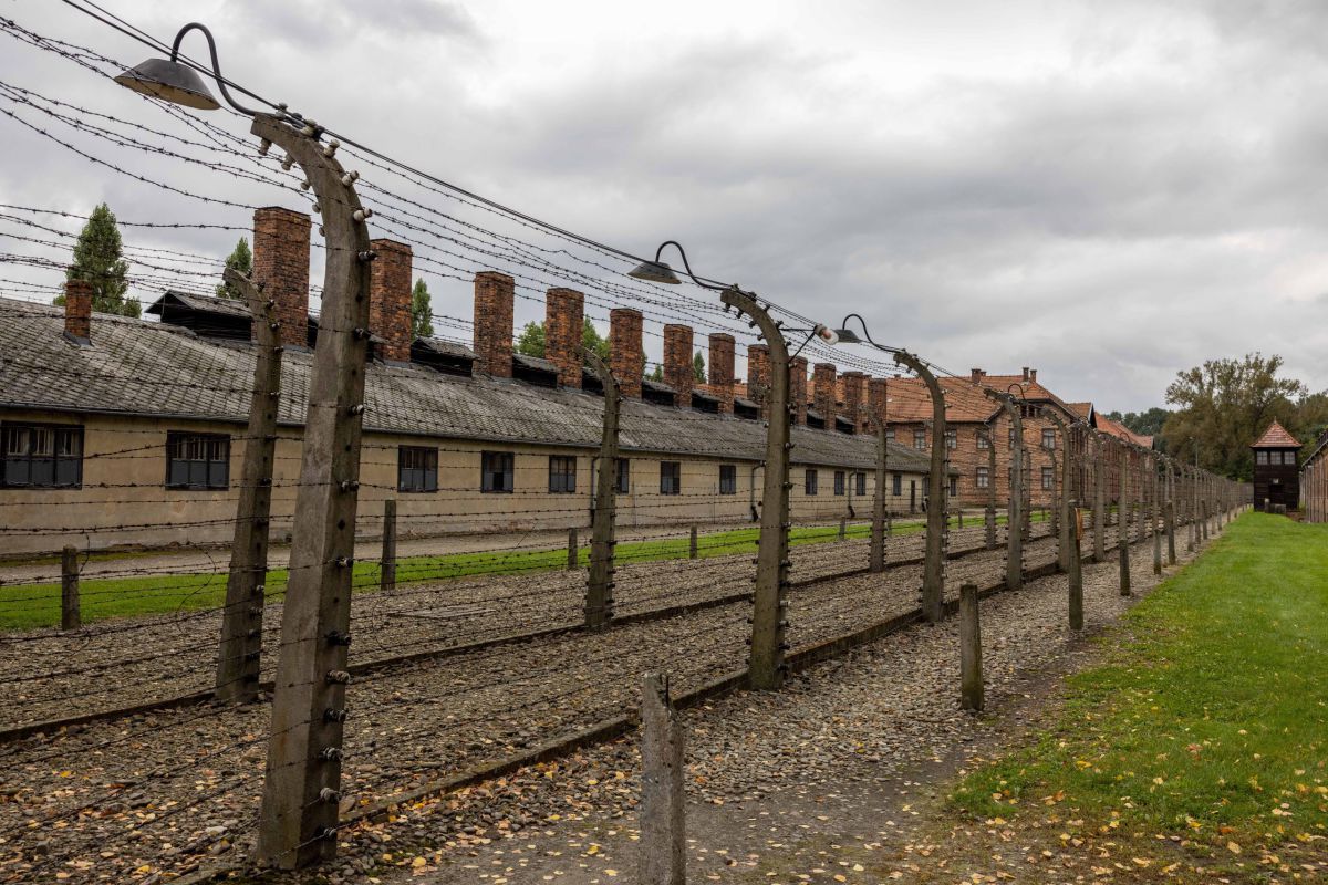 שואה על המסך הישראלי: המלצות צפייה ליום השואה תשפ"ה