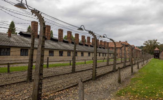 כשאברהם הצליח לסלוח לעצמו שהוא ניצל מאושוויץ