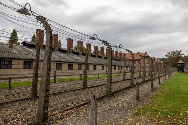 יום השואה תשפ״ה: 3 ניצולים עלו לישראל בשנה האחרונה