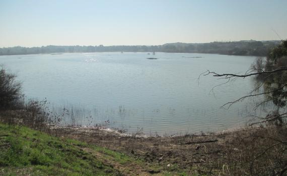 תרחיש הבלהות של משק המים התממש: "חומרים מסרטנים"