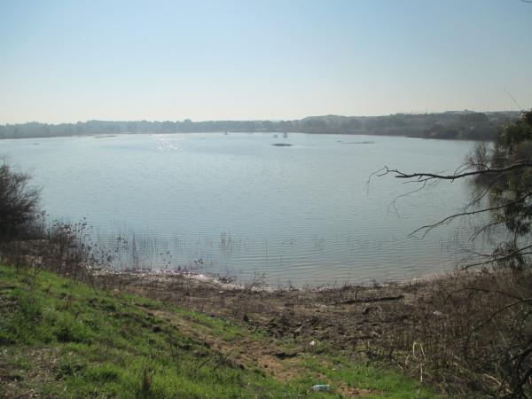 תרחיש הבלהות של משק המים התממש: "חומרים מסרטנים"