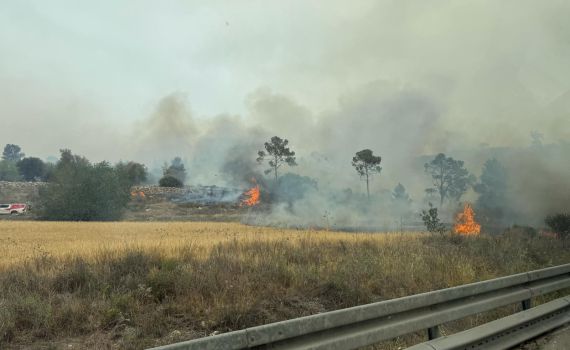 השריפות בשפלה מתפשטות: המשטרה החלה בפינוי יישובים