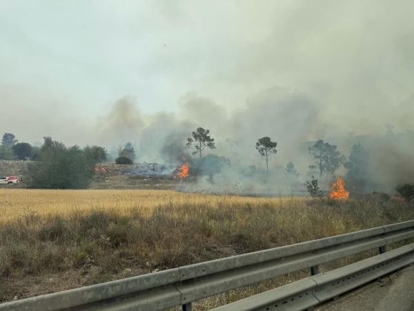 השריפות בשפלה מתפשטות: המשטרה החלה בפינוי יישובים