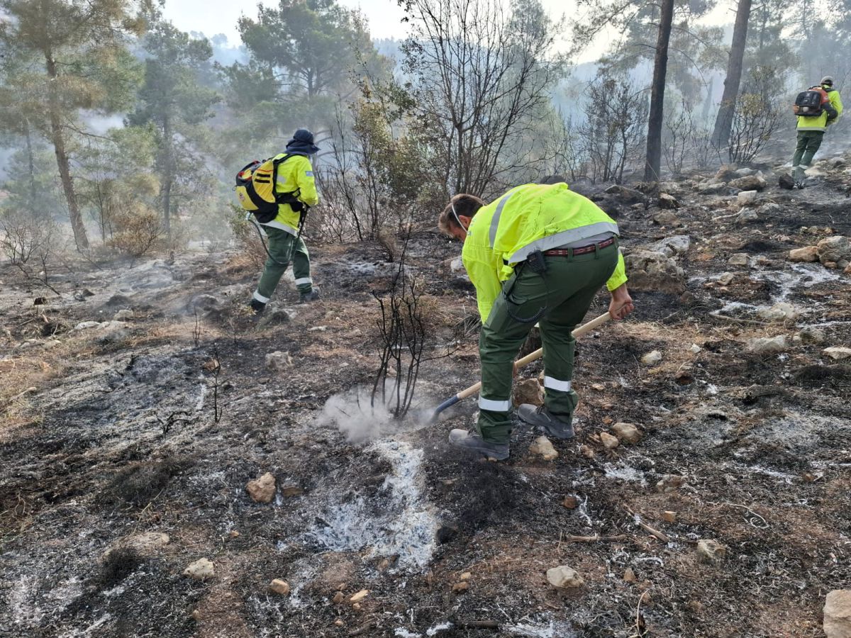 מחיר השריפות: עשרות אלפי דונמים של חורש עלו בלהבות