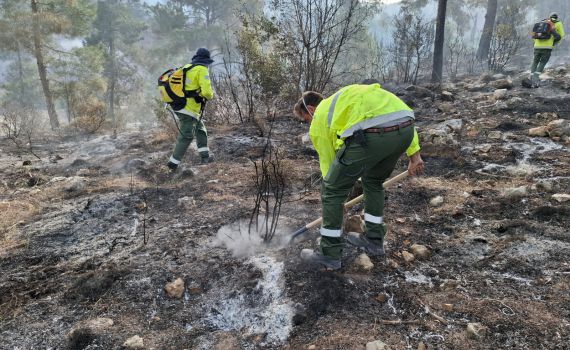 מחיר השריפות: עשרות אלפי דונמים של חורש עלו בלהבות