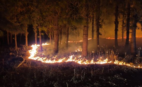 גם אחרי החשכה: שריפות נוספות פורצות ברחבי הארץ