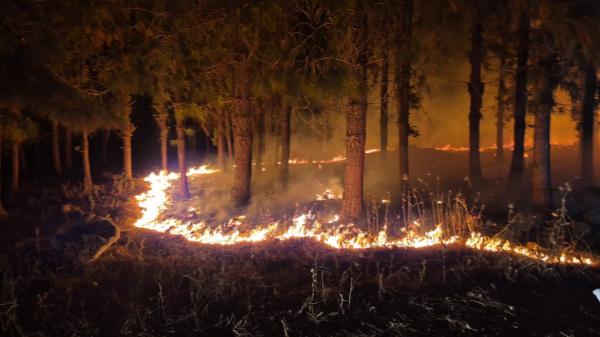 גם אחרי החשכה: שריפות נוספות פורצות ברחבי הארץ