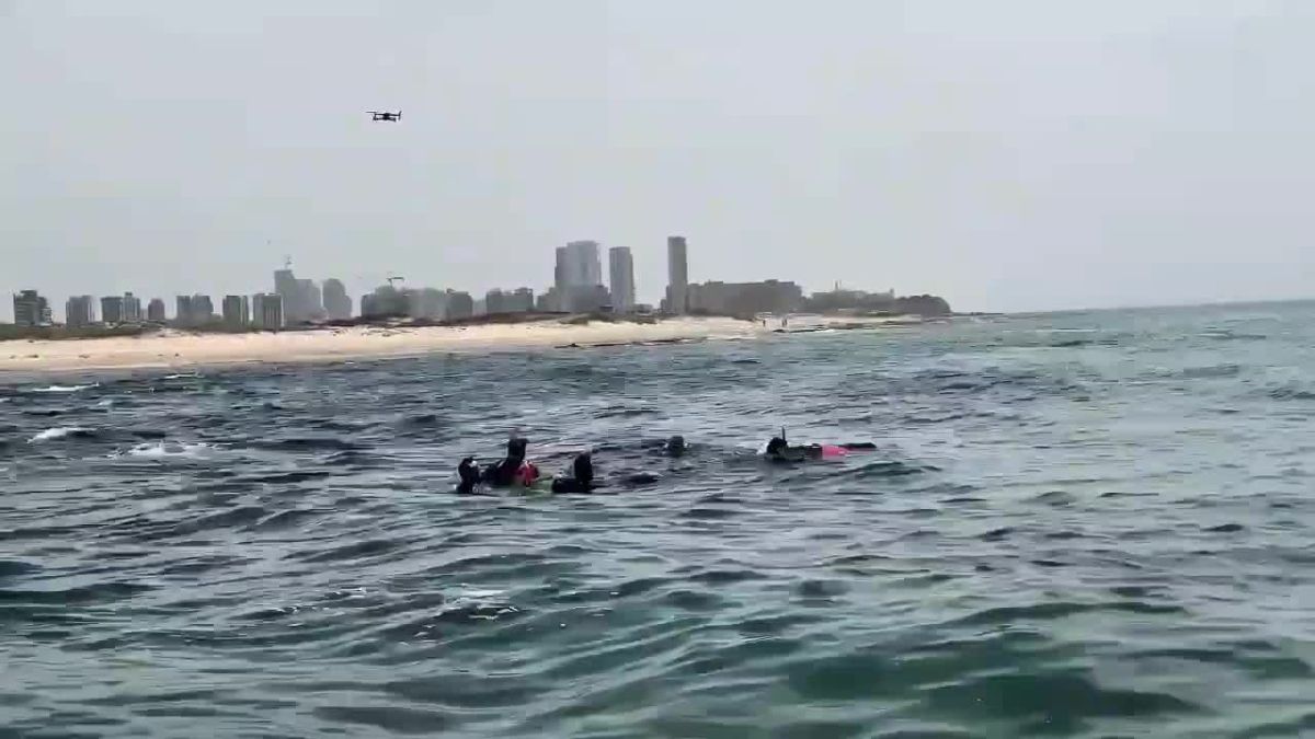 הצוללן שהותקף על ידי כריש: נמצאו שרידים באזור החיפושים