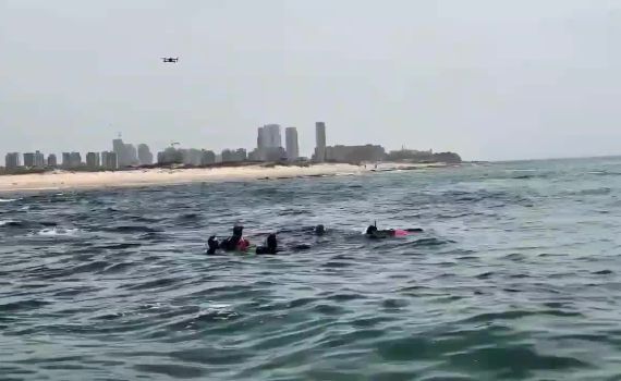 הצוללן שהותקף על ידי כריש: נמצאו שרידים באזור החיפושים