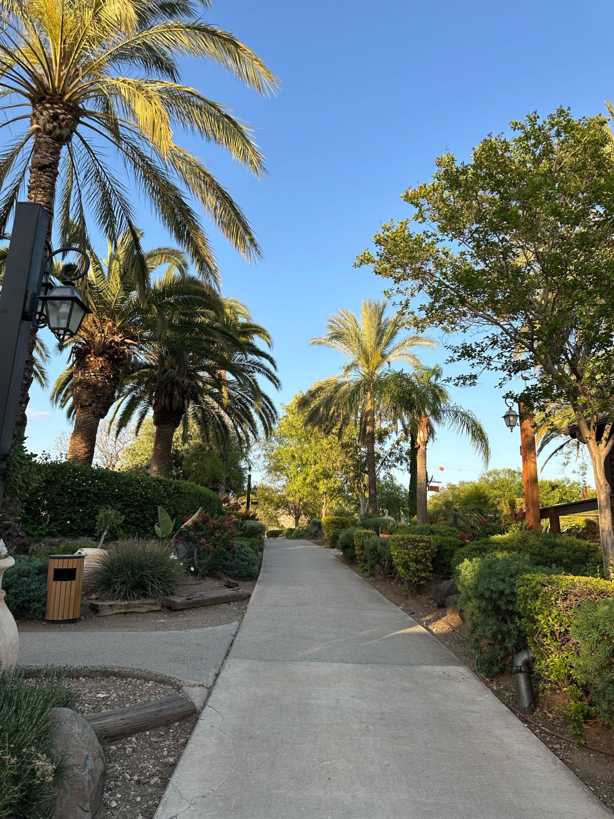 מלון כפר הנופש רמות – חוויה מדהימה עם נוף משגע