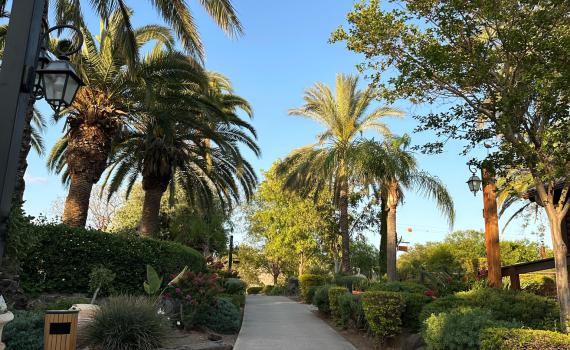 מלון כפר הנופש רמות – חוויה מדהימה עם נוף משגע