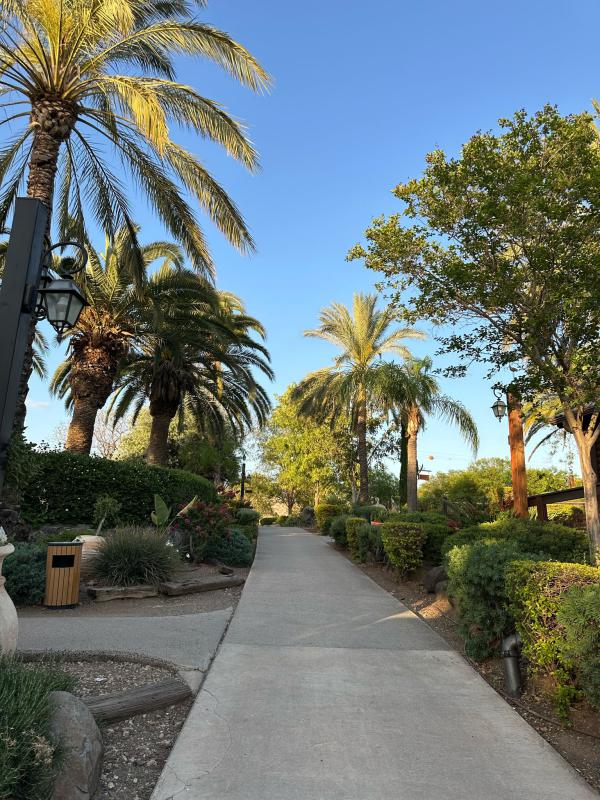 מלון כפר הנופש רמות – חוויה מדהימה עם נוף משגע