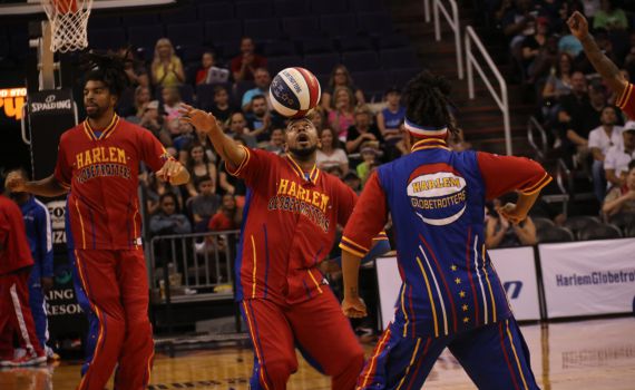 בין קודש לספורט | פרשת שמיני: לשחק בתוך החוקים