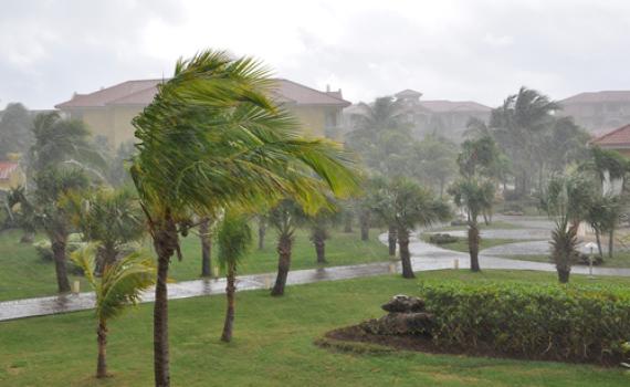 התראה מטאורולוגית; רוחות וגשם: תחזית מזג אוויר