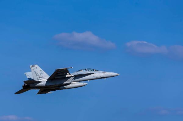 צבא ארה"ב הודיע: מטוס קרב נפל מנושאת מטוסים בים סוף