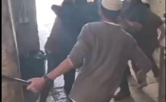 יהודים נעצרו בשער הר הבית עם גדי; ניסו להקריבו לפסח שני