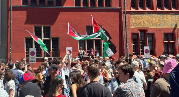 עם דגלי פלסטין ברקע: יובל רפאל על השטיח הטורקיז |  צפו