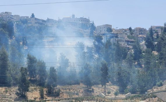שריפה פרצה סמוך לכביש 16 בירושלים | תיעוד