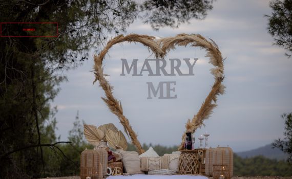 נתוני 2024: ארגון צהר במקום הראשון ברישום לנישואים