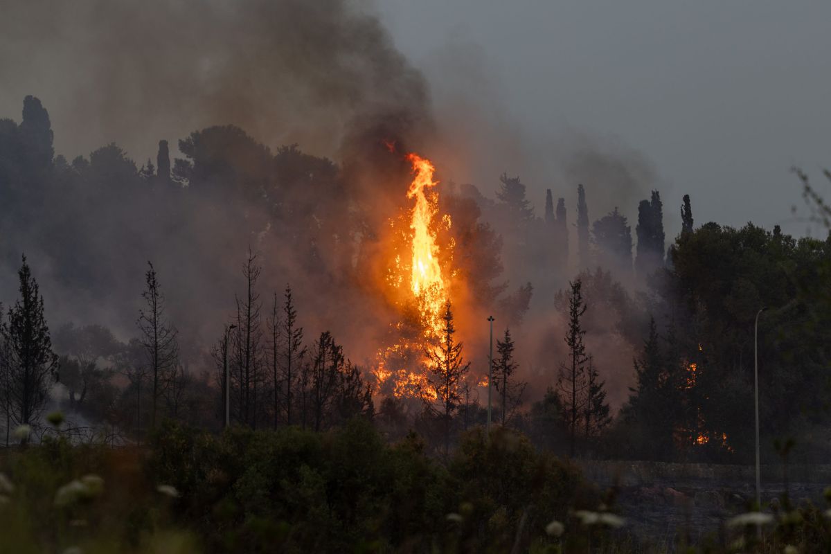 גל השריפות: קק״ל הודיעה על סגירת שמורות הטבע ביום העצמאות