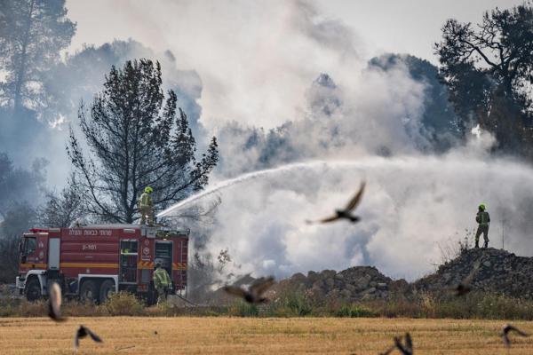 בכבאות והצלה מרגיעים: השריפה בהרי ירושלים נמצאת בשליטה