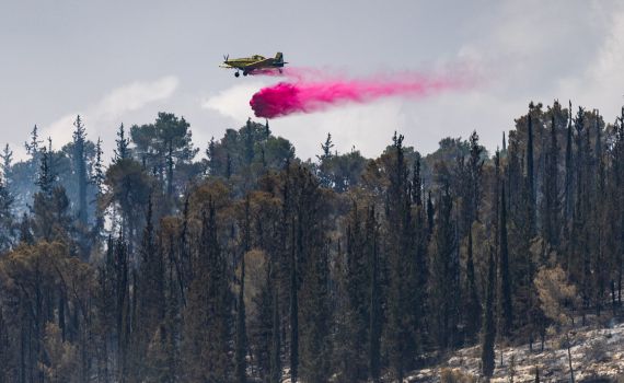 שריפה מתפשטת סמוך לעיר חיפה: דיירים מפונים מבתיהם
