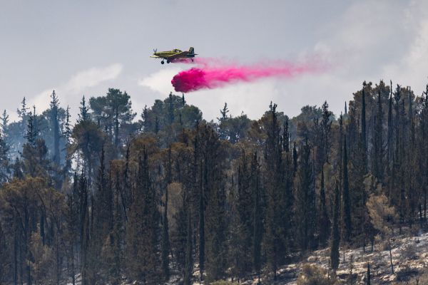 שריפה מתפשטת סמוך לעיר חיפה: דיירים מפונים מבתיהם
