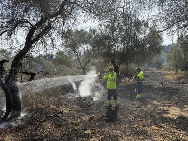 מאמצי הכיבוי נמשכים: "מנסים להשיג שליטה עד הצהריים"