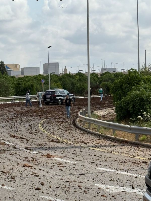 בהלת ענק באיזור המרכז