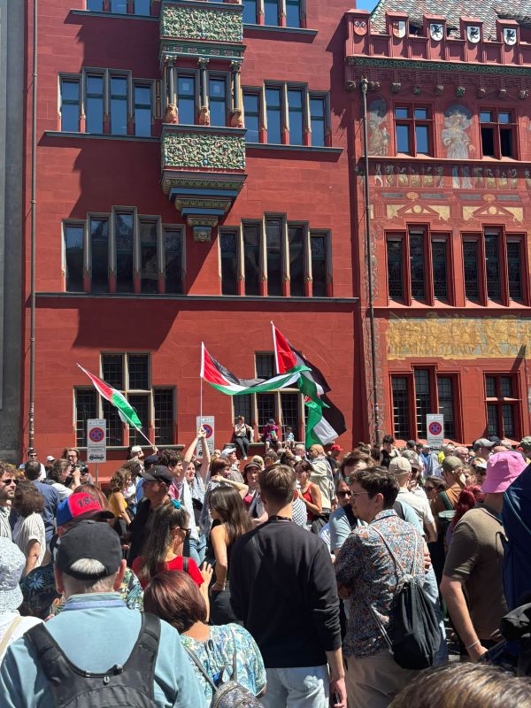 "חששנו לחיינו": המשלחת לאירוויזיון על ההפגנות הפרו פלסטינית