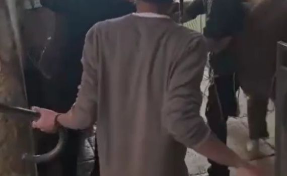 בית המשפט שחרר את הפעילים שהכניסו גדי להר הבית