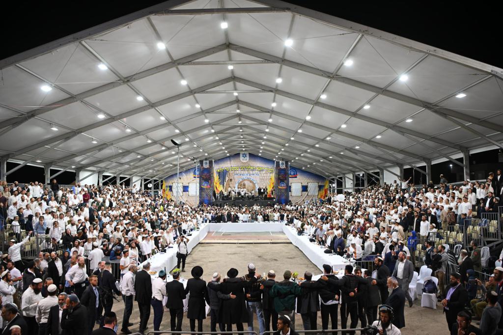 צילום: מני הוכטמן