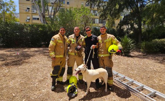 לא נוטשים אף אחד: לוחמי אש חילצו כלב שנתקע על חבלי כביסה