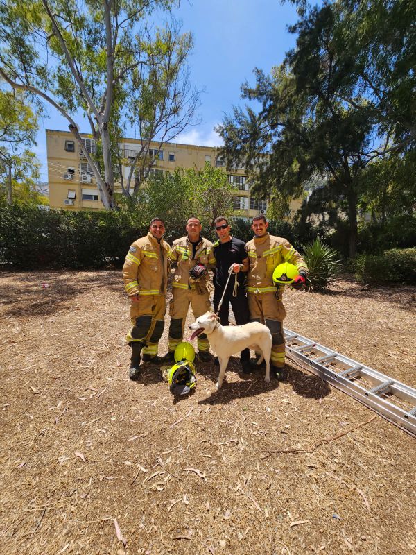 לא נוטשים אף אחד: לוחמי אש חילצו כלב שנתקע על חבלי כביסה