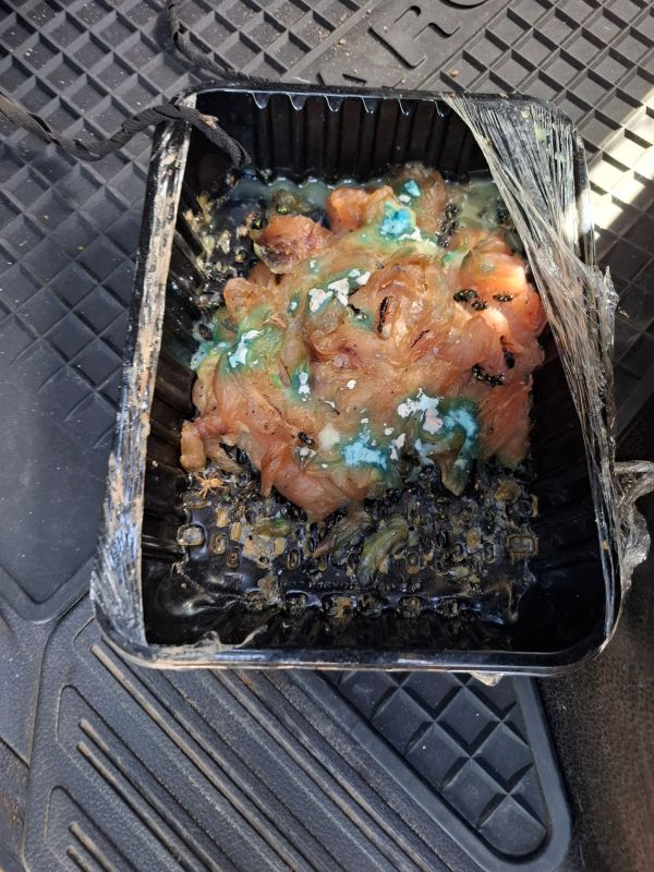 נתפס על חם: פקחי רט"ג עצרו אדם שפיזר בשר מורעל בטבע