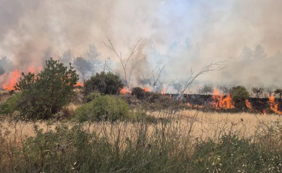 שריפה משתוללת בגוש עציון: כביש 60 נסגר לתנועה